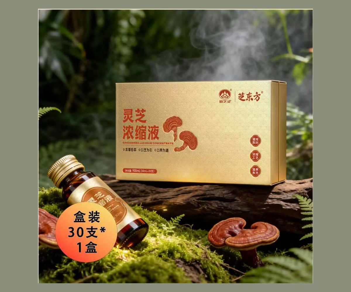 灵芝浓缩液